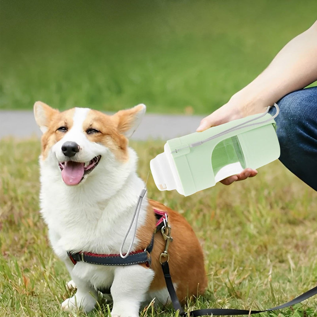Owner offering the green ROAM Bottle to a corgi on the grass