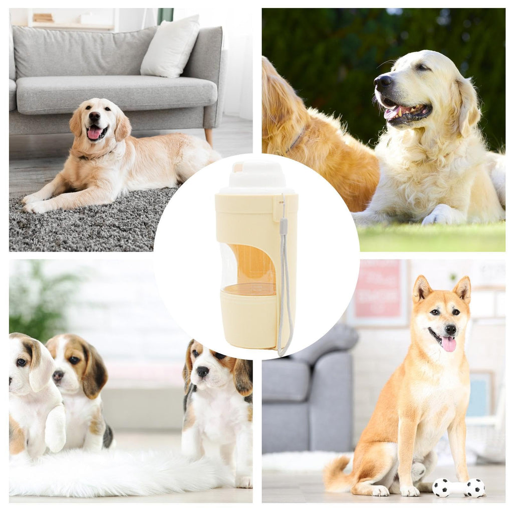 ROAM Bottle shown with dogs of different sizes
