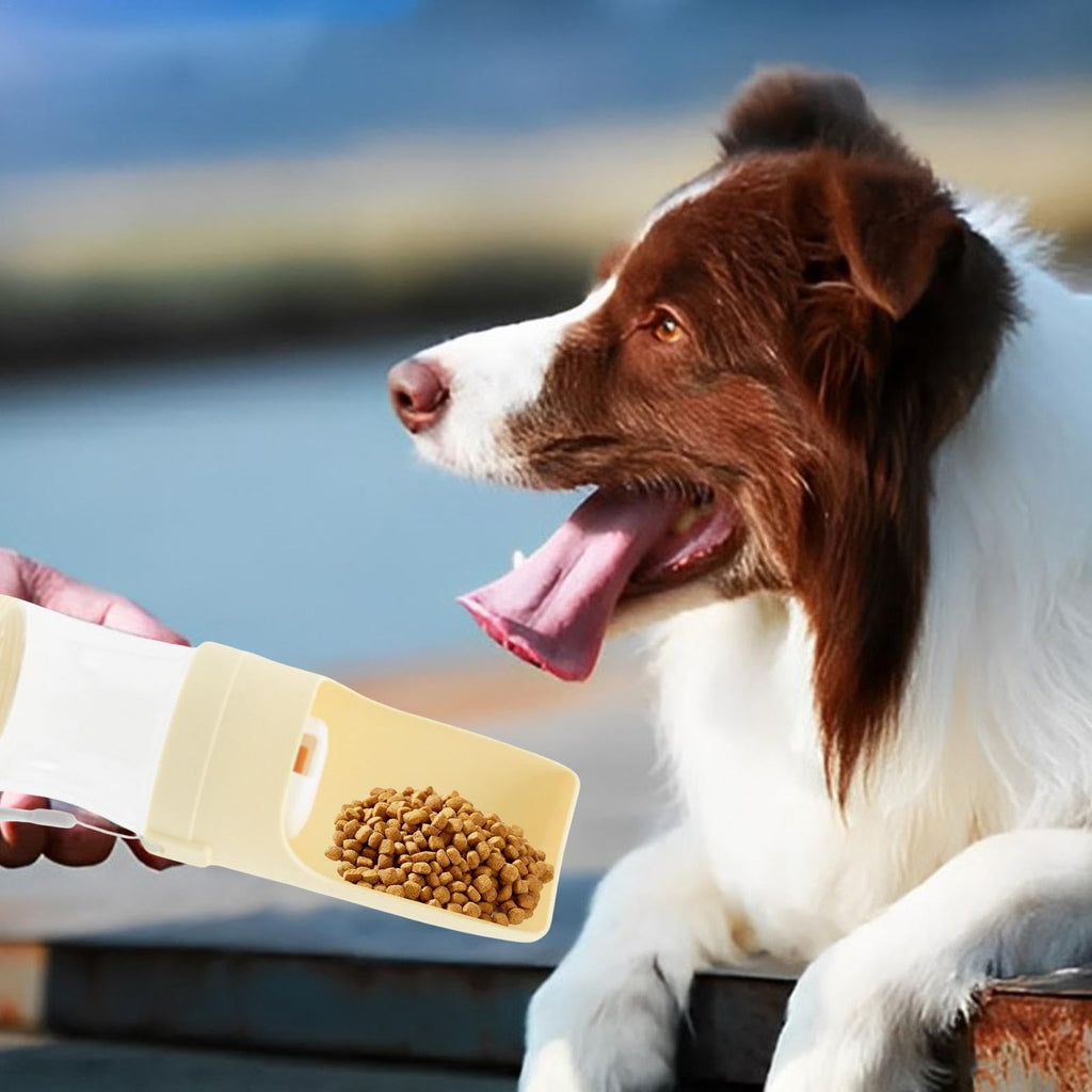 Border collie eating kibble from the ROAM Bottle flip-out trough