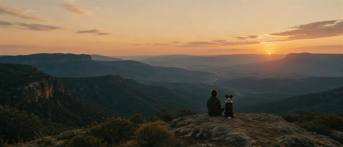 Person and dog sitting together on a ridge overlooking mountain ranges at sunset